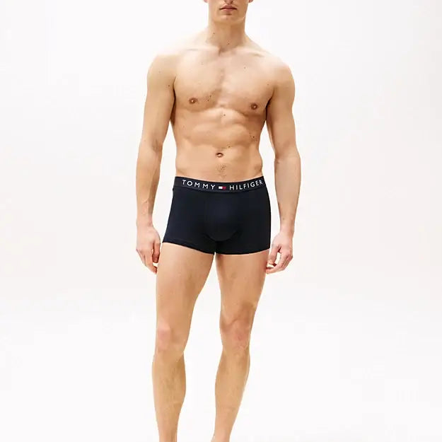 Tommy Hilfiger 3-Pack TH Original Logo Waistband Trunks - Desert Sky/Olive/Beige