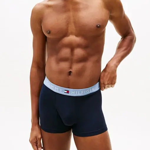 Tommy Hilfiger 3-Pack TH Original Logo Waistband Trunks - Dp Indgo/Brzzy Blu/Blu Hth