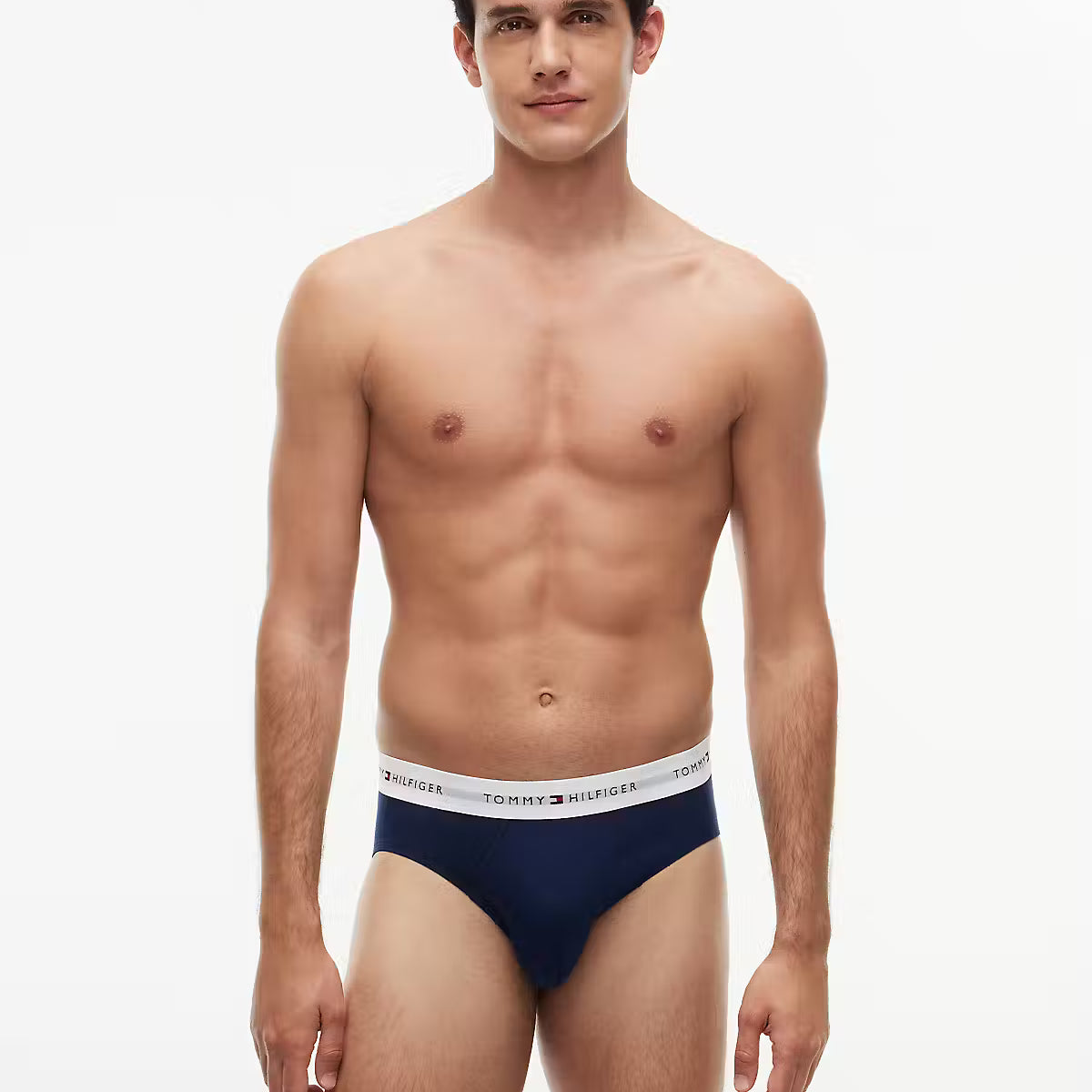 Tommy Hilfiger Carbon Navy briefs model front