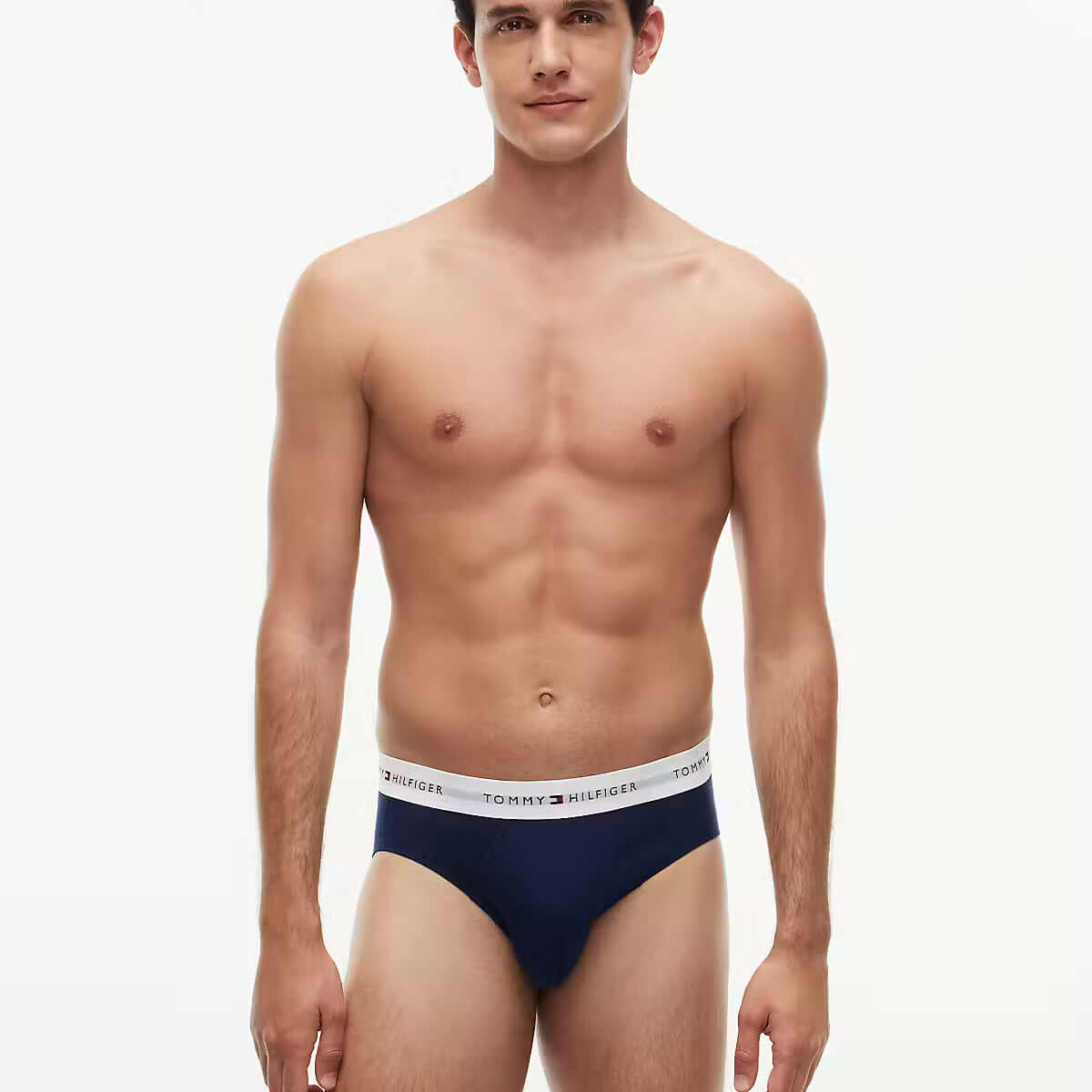Tommy Hilfiger Carbon Navy briefs model front
