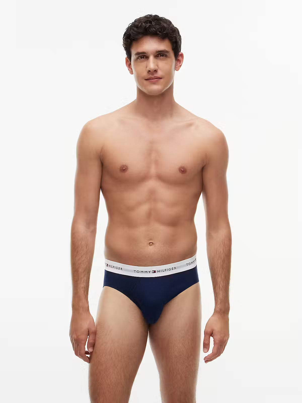 Tommy Hilfiger Carbon Navy briefs model front