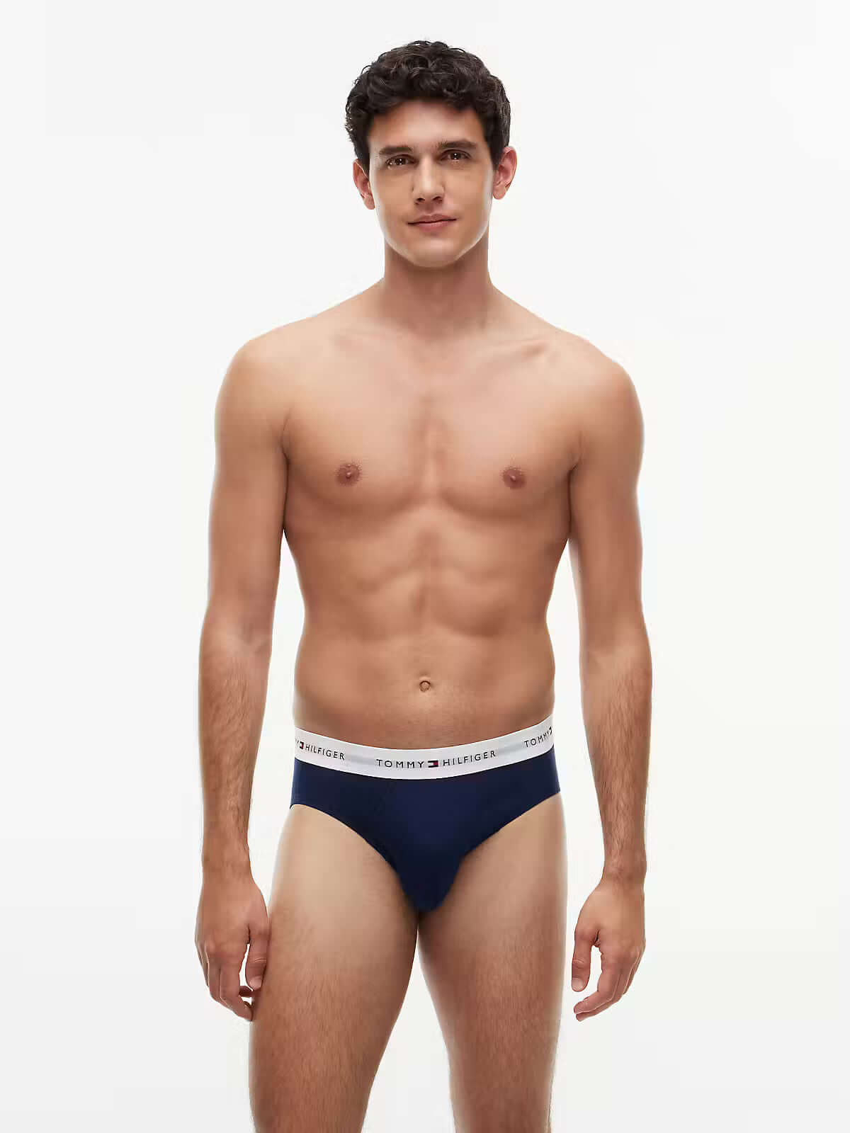 Tommy Hilfiger Carbon Navy briefs model front