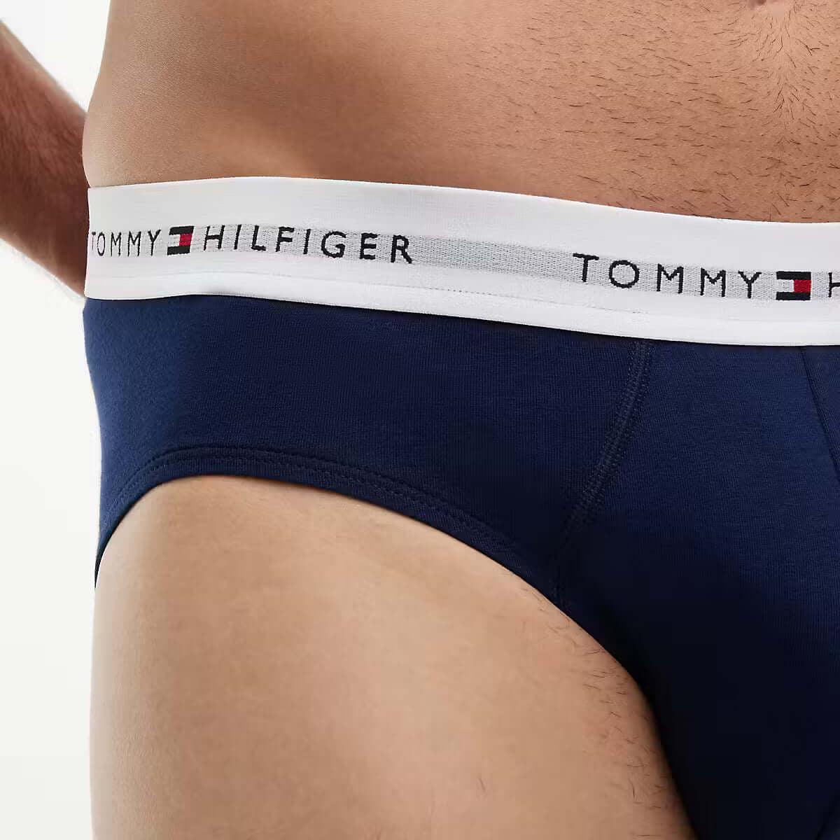Tommy Hilfiger Carbon Navy briefs waistband detail