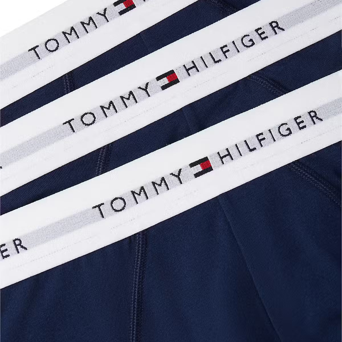 Tommy Hilfiger Carbon Navy briefs logo waistband detail