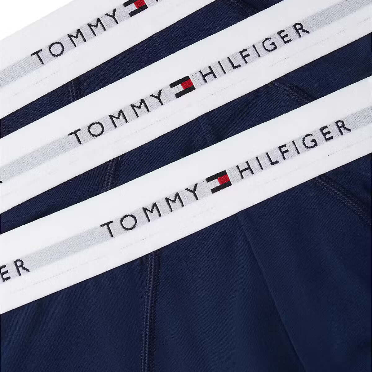 Tommy Hilfiger Carbon Navy briefs logo waistband detail