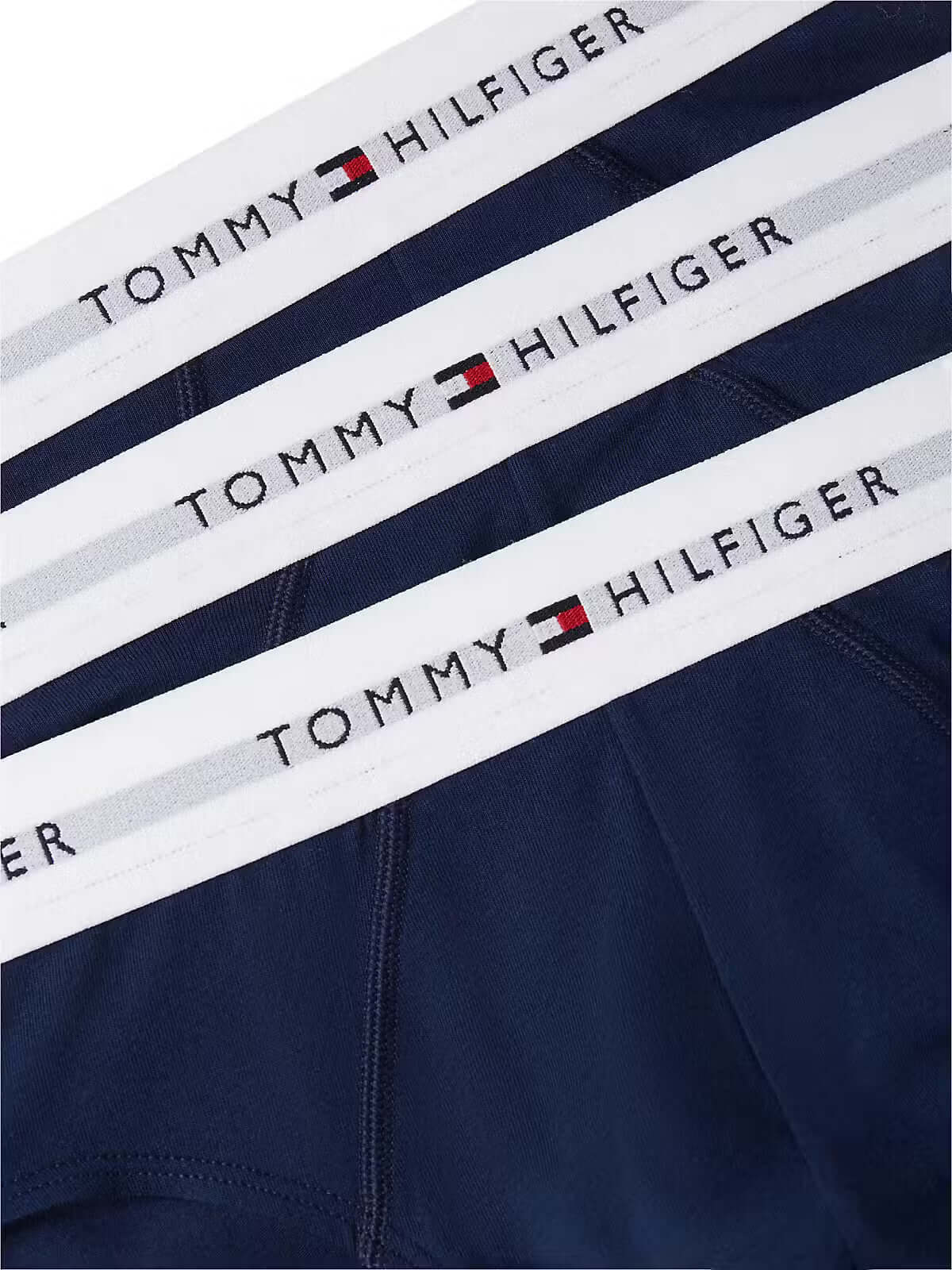 Tommy Hilfiger Carbon Navy briefs logo waistband detail