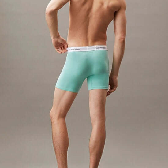 Calvin Klein 3 Pack Boxer Briefs – ICON Cotton Stretch - Black/Beau Blue/Leafy Fun
