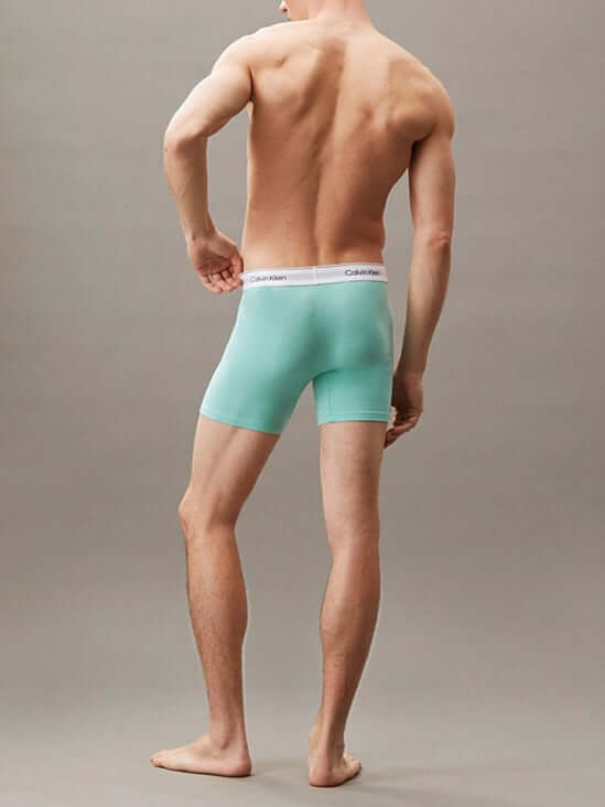 Calvin Klein 3 Pack Boxer Briefs – ICON Cotton Stretch - Black/Beau Blue/Leafy Fun