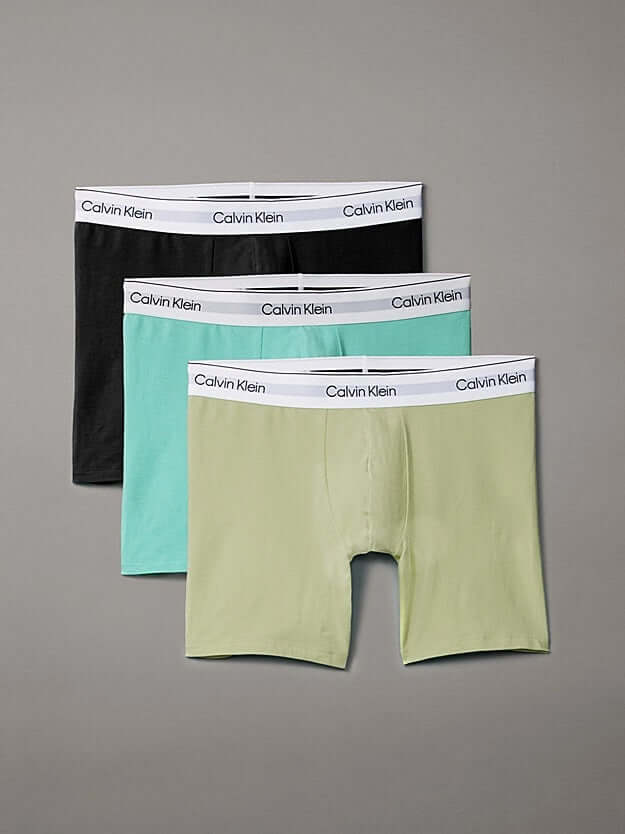 Calvin Klein 3 Pack Boxer Briefs – ICON Cotton Stretch - Black/Beau Blue/Leafy Fun