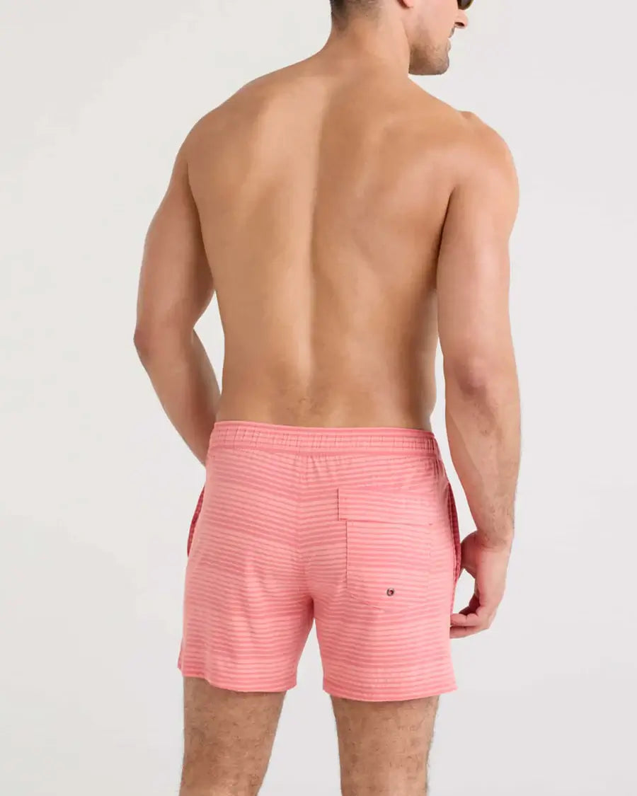 Saxx Oh Buoy 2N1 Stretch Swim Trunk 5" with liner - Hibiscus/Coral Pop Stripe