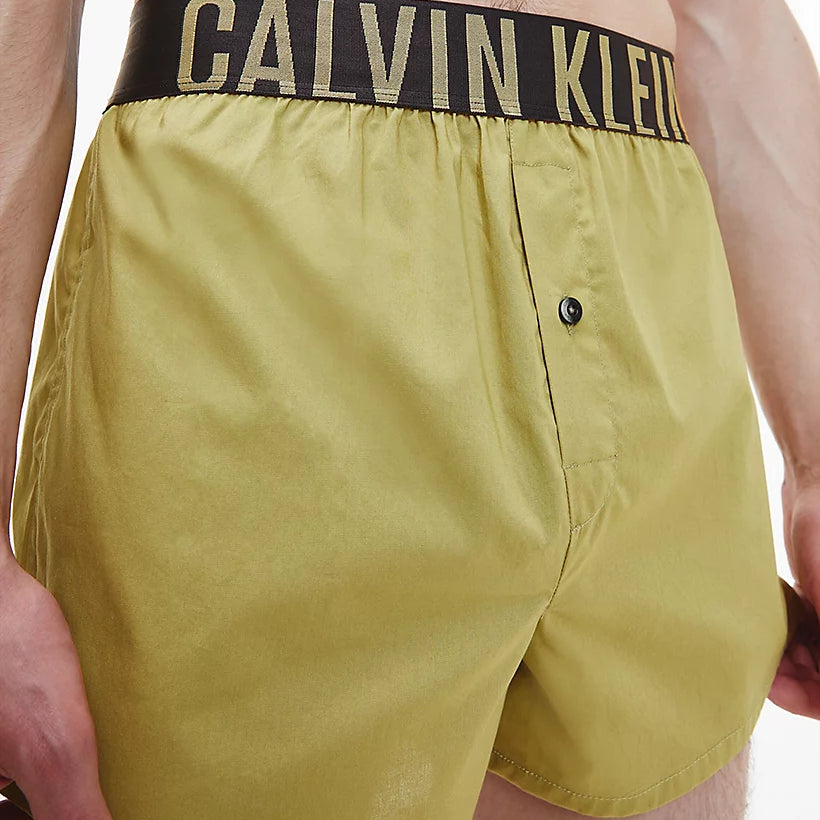 Calvin Klein - 2 Pack Slim Fit Boxers - Intense Power (Ocean Mist Grey/ Pistche)