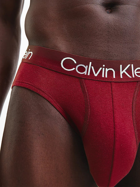 calvin klein body hip brief