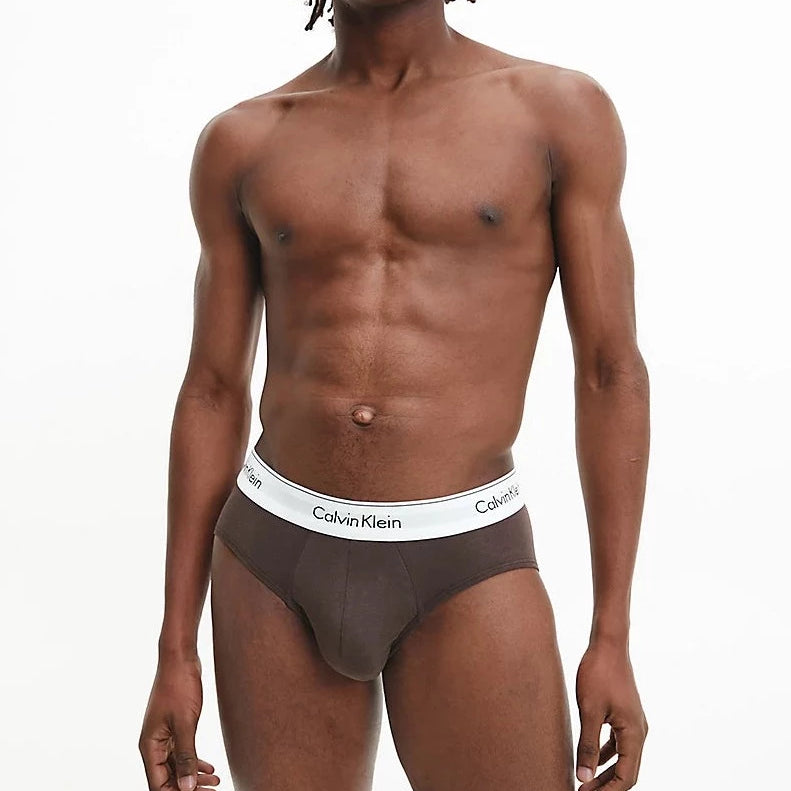Calvin Klein 3 Pack Briefs - Modern Cotton (Black/ Woodland/ Sandalwood)