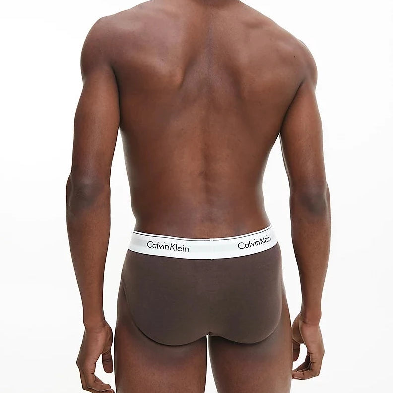 Calvin Klein 3 Pack Briefs - Modern Cotton (Black/ Woodland/ Sandalwood)