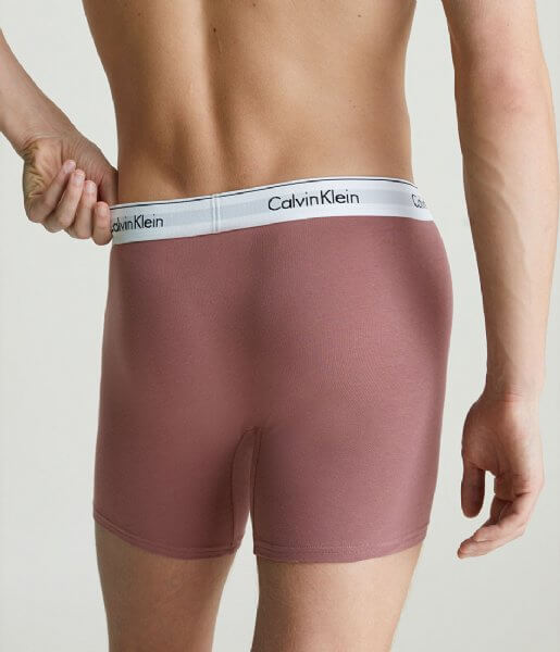 Calvin Klein 3 Pack Modern Cotton Boxer Briefs - Capri Rose / Blue / Arona