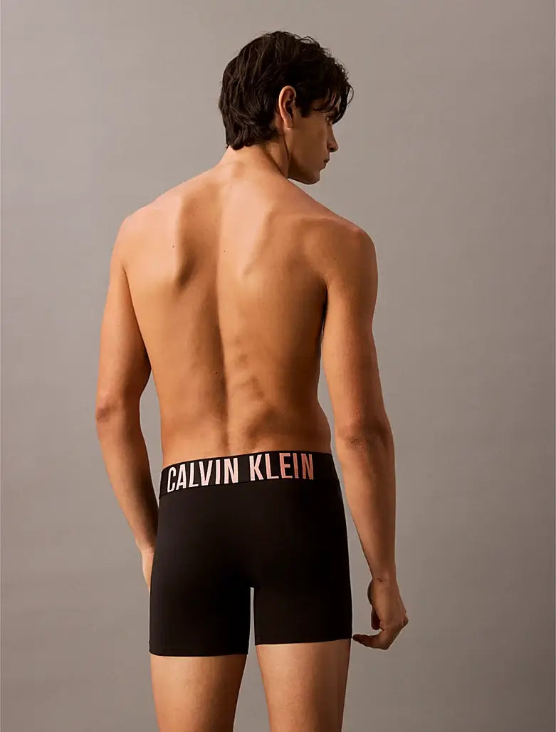 Calvin Klein Underwear 3 Pack Intense Power Cotton Boxer Briefs - Black- Multi