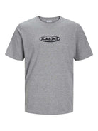 Jack & Jones Jacoliver Shorts Lounge Set - Light Grey Tee / Black shorts