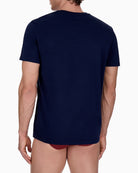 Emporio Armani 2 Pack T-Shirts Blue Brick model back