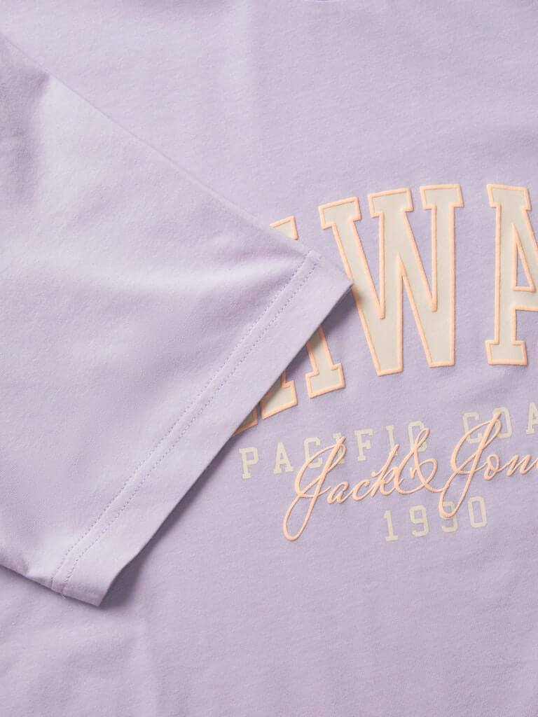 Jack & Jones 1 Pack JJDETROIT Crew Neck 100% Cotton T-Shirt