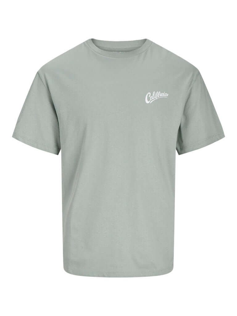 Jack & Jones JJZEKIEL Crew Neck 100% Cotton T-Shirt - Iceberg Green