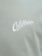 Jack & Jones JJZEKIEL Crew Neck 100% Cotton T-Shirt - Iceberg Green