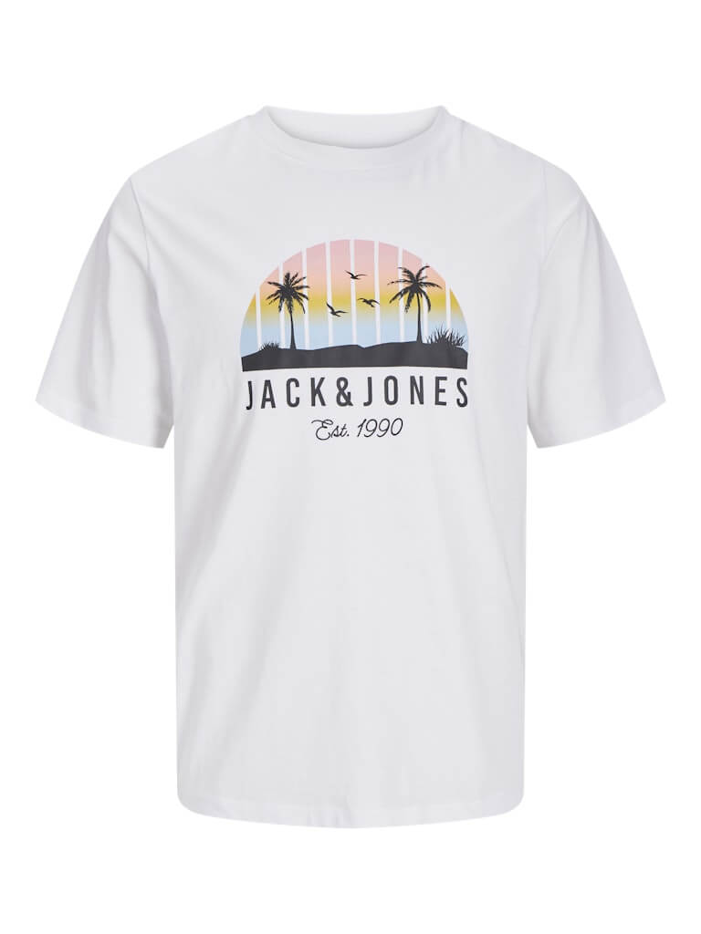 Jack & Jones 2 Pack JJPALM Crew Neck T-Shirts - White/Black