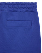 Weekend Offender Mytros Shorts | Bluebell/Alabaster