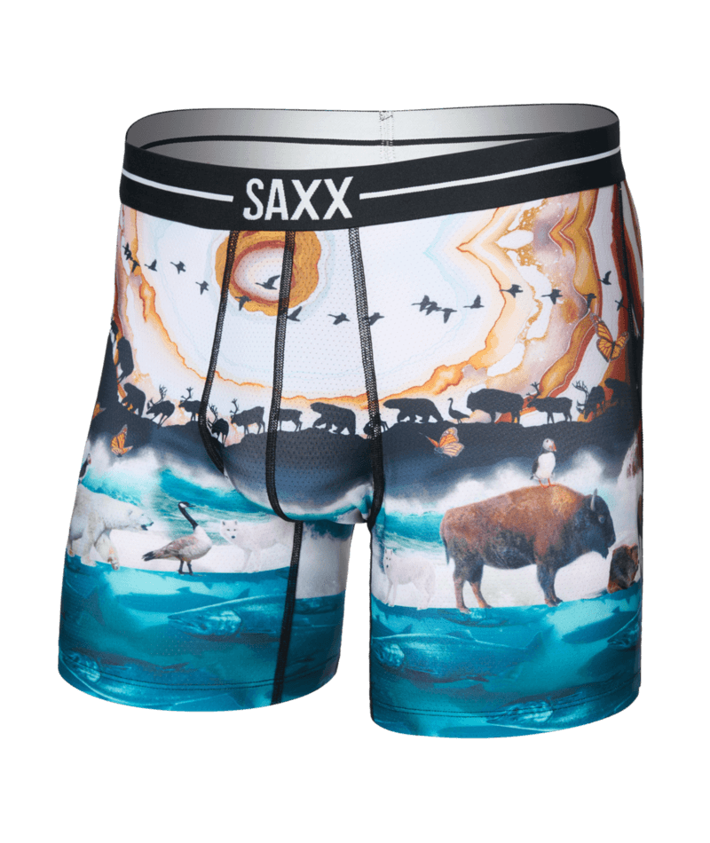 Saxx Underwear Volt Breathable Mesh Boxer Brief 6" - Great Migration, Multi