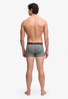 Superdry & Co Trunks Grey Grit model front