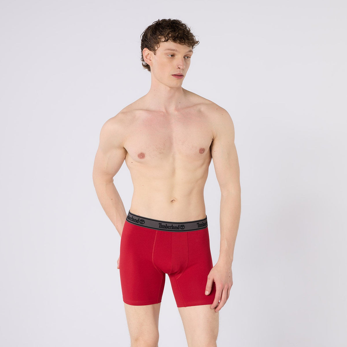 Timberland Cotton Stretch 3 Pack Boxer Briefs – Assorted Colours - Navy / Grey / Red - image 5