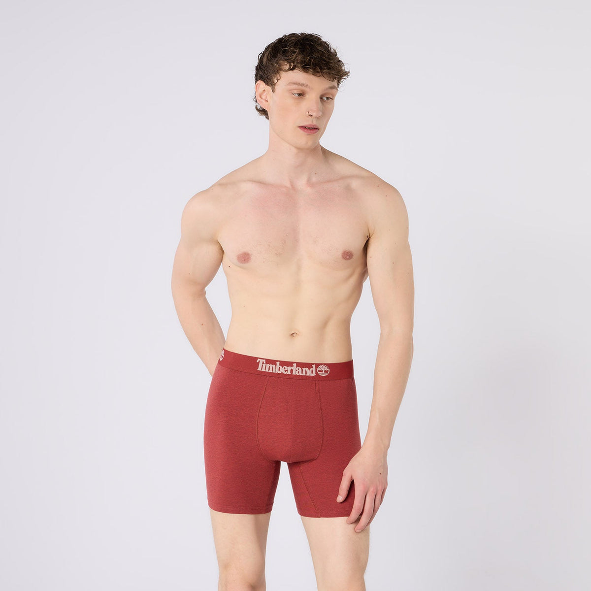 Timberland Cotton Stretch 3 Pack Boxer Briefs – Assorted Colours - Olive / Grey / Rosewood Marl - image 1