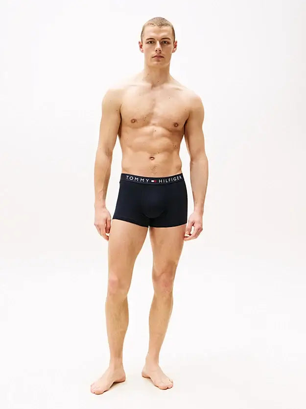 Tommy Hilfiger 3-Pack TH Original Logo Waistband Trunks - Desert Sky/Olive/Beige