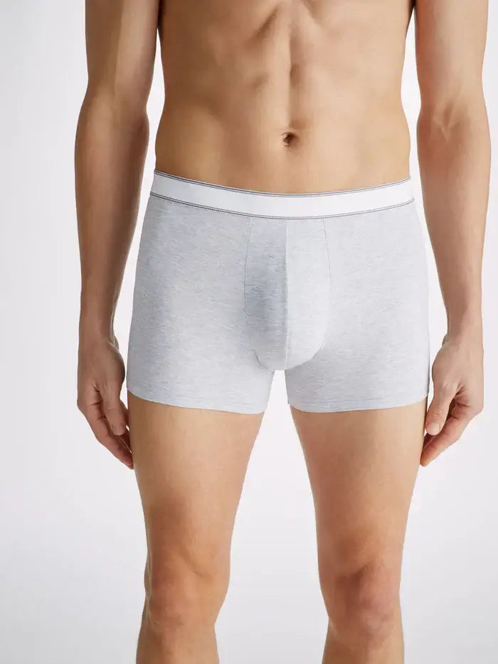 Derek Rose Men s Ethan Micro Modal Stretch Hipster Boxer Briefs Silver