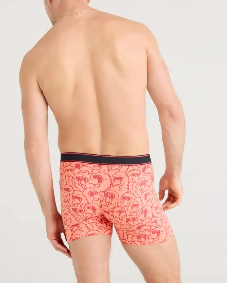 Saxx Comfort Stretch Daytripper 1 Pack Boxer Briefs, Parrot Party Fusion - Coral