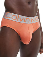 Calvin Klein 3 Pack Steel Cotton Hip Briefs - Zero Below / Grey Sky / Turned Mango