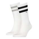 Calvin Klein Men's 2 Pack Striped Crew Socks