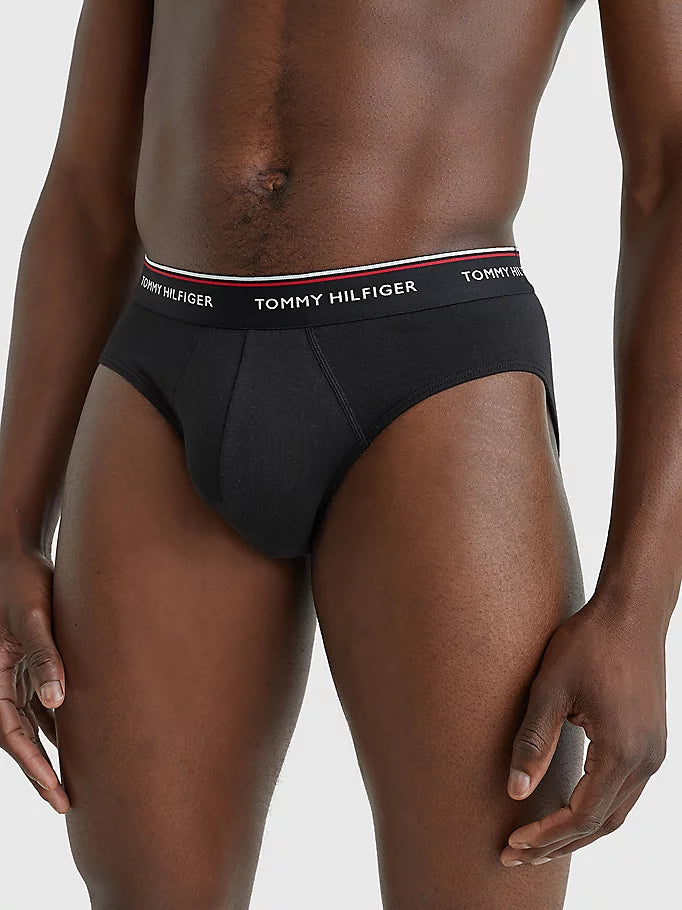hilfiger mens briefs