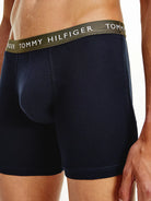 Tommy Hilfiger 3- Pack Logo Boxer Briefs - Sublunar/Army Green/Desert Sky